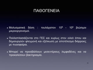 ΠΑΘΟΓΕΝΕΙΑ
Μολυσματική δόση : τουλάχιστον 108 - 109 βιώσιμοι
μικροοργανισμοί.
Πολλαπλασιάζονται στο ΓΕΣ και κυρίως στον ειλεό όπου και
δημιουργούν φλεγμονή και εξέλκωση με αποτέλεσμα διάρροιες
με πυοσφαίρια.
Μπορεί να προσβάλλουν μεσεντέριους λεμφαδένες και να
προκαλέσουν βακτηριαιμία.
29
 