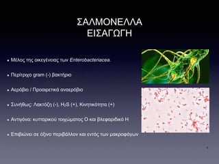 Μέλος της οικεγένειας των Enterobacteriacea.
Περίτριχο gram (-) βακτήριο
Αερόβιο / Προαιρετικά αναερόβιο
Συνήθως: Λακτόζη (-), Η2S (+), Κινητικότητα (+)
Αντιγόνα: κυτταρικού τοιχώματος Ο και βλεφαριδικό Η
Επιβιώνει σε όξινο περιβάλλον και εντός των μακροφάγων
ΣΑΛΜΟΝΕΛΛΑ
ΕΙΣΑΓΩΓΗ
3
 