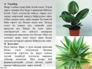 Удамбор
Ямар ч албан газар байх ёстой цэцэг. Хэрэв
дарга, захирал бол бүүр ч өрөөндөө байлгах
ёстой. Гэрээ хэлэлцээр хийдэг, гарын үсэг
зурдаг ширээний хажууд байрлуулах сайн,
албан тушаал ахих, ажил өөдрөг бүтэмжтэй
байх зэрэгт тус болдог цэцэг юм. Энэхүү
цэцэг нь алжын хүч, энергийг улам
өрнүүлж өгч байдаг ба олон зүйлс
самгардахгүй гол зүйлдээ анхаарлаа
төвлөрүүлж ажиллахад тус болдог. Мөн гал
тогооны өрөө, хоол иддэг өрөө болон
олуулаа цуглардаг өрөөнд байрлуулах сайн.
Зуун наст
Зуун настыг бараг л зуун янзаар ашиглаж
болно гэхэд хилсдэхгүй. Багахан
хэмжээгээр хэрэглэх нь эрүүл мэндэд
тустай төдийгүй түлэгдсэн шарханд
сайнаар нөлөөлнө. Мөн агаарт буй
формальдегидийг устгах бөгөөд хүний
арьсыг чийгшүүлдэг давуу талтай
 