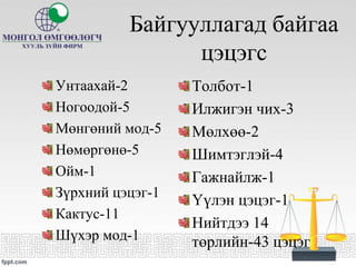 Байгууллагад байгаа
цэцэгс
Унтаахай-2
Ногоодой-5
Мөнгөний мод-5
Нөмөргөнө-5
Ойм-1
Зүрхний цэцэг-1
Кактус-11
Шүхэр мод-1
Толбот-1
Илжигэн чих-3
Мөлхөө-2
Шимтэглэй-4
Гажнайлж-1
Үүлэн цэцэг-1
Нийтдээ 14
төрлийн-43 цэцэг
 