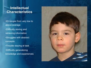Intellectual Characteristics IQ ranges from very low to above average Difficulty storing and retrieving information Struggles with abstract concepts Trouble staying at task Difficulty generalizing knowledge and experiences 