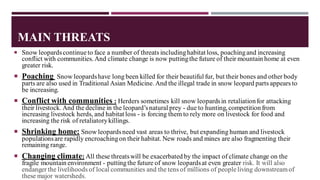 MAIN THREATS
 Snow leopardscontinueto face a number of threats includinghabitat loss, poachingand increasing
conflict with communities. And climate change is now puttingthe future of their mountain home at even
greater risk.
 Poaching Snow leopardshave long been killed for their beautiful fur, but their bones and other body
parts are also used in Traditional Asian Medicine. And the illegal trade in snow leopard parts appears to
be increasing.
 Conflict with communities : Herders sometimes kill snow leopardsin retaliationfor attacking
their livestock. And the decline in the leopard’snatural prey - due to hunting, competition from
increasing livestock herds, and habitat loss - is forcing them to rely more on livestock for food and
increasing the risk of retaliatorykillings.
 Shrinking home: Snow leopardsneed vast areas to thrive, but expanding human and livestock
populationsare rapidly encroachingon their habitat. New roads and mines are also fragmenting their
remaining range.
 Changing climate: All these threatswill be exacerbated by the impact of climate change on the
fragile mountain environment - puttingthe future of snow leopardsat even greater risk. It will also
endanger the livelihoods of local communities and the tens of millions of peopleliving downstreamof
these major watersheds.
 