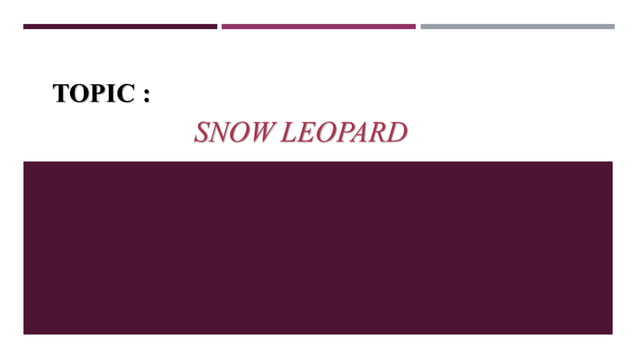 Snow Leopard | PPT