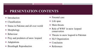Snow Leopard | PPT