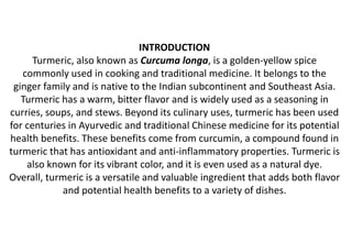 INTRODUCTION
Turmeric, also known as Curcuma longa, is a golden-yellow spice
commonly used in cooking and traditional medicine. It belongs to the
ginger family and is native to the Indian subcontinent and Southeast Asia.
Turmeric has a warm, bitter flavor and is widely used as a seasoning in
curries, soups, and stews. Beyond its culinary uses, turmeric has been used
for centuries in Ayurvedic and traditional Chinese medicine for its potential
health benefits. These benefits come from curcumin, a compound found in
turmeric that has antioxidant and anti-inflammatory properties. Turmeric is
also known for its vibrant color, and it is even used as a natural dye.
Overall, turmeric is a versatile and valuable ingredient that adds both flavor
and potential health benefits to a variety of dishes.
 