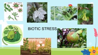 PLANT RESISTANCE TO BIOTIC | PPTX