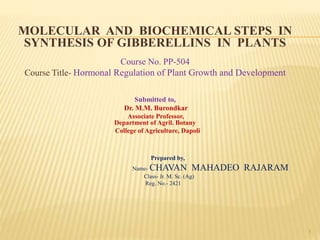 MOLECULAR AND BIOCHEMICAL STEPS IN
SYNTHESIS OF GIBBERELLINS IN PLANTS
Course No. PP-504
Course Title- Hormonal Regulation of Plant Growth and Development
Submitted to,
Dr. M.M. Burondkar
Associate Professor,
Department of Agril. Botany
College of Agriculture, Dapoli
Prepared by,
Name- CHAVAN MAHADEO RAJARAM
Class- Jr. M. Sc. (Ag)
Reg. No.- 2421
1
 