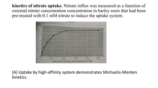 Molecular mechanism of Ion uptake, Ion transporters for Nitrate | PPTX