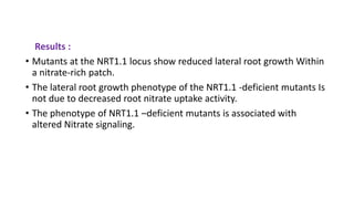 Molecular mechanism of Ion uptake, Ion transporters for Nitrate | PPTX