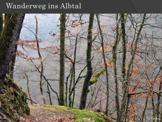 Wanderweg ins Albtal