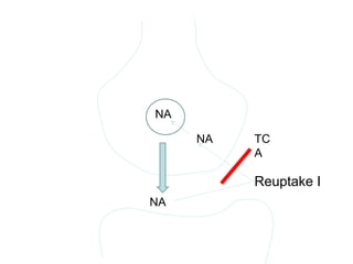 NA
NA
NA
Reuptake I
TC
A
 