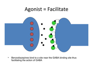 Agonist = Facilitate
• Benzodiazepines bind to a site near the GABA binding site thus
facilitating the action of GABA
 
