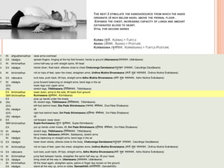 THE NEXT 2 STIMULATE THE KANDHA/SOURCE FROM WHICH THE NADIS
ORIGINATE (4 INCH BELOW NAVEL ABOVE THE PERNIAL FLOOR .
EXPANDS THE CHEST, INCREASING CAPACITY OF LUNGS AND AMOUNT
OXYGENATED BLOOD TO HEART.
VITAL FOR SECOND SERIES
KURMA (कू मव, KŪRMA) = TURTLE
ASANA (आसन, ĀSANA) = POSTURE
KURMASANA (कू मावसन, KŪRMĀSANA) = TURTLE-POSTURE
1 IN añguṣṭhamadhye raise arms overhead
2 EX nāsāgre spread fingers, hinging at the hip fold forward, hands to ground Uttanasana(उत्तानासन, Uttānāsana)
3 IN bhrūmadhye come half-way up with straight spine, lift head
4 EX nāsāgre hands down, float back, ellbows close to chest Chaturanga Dandasana(च ुिाङ्ग दण्डासन, Caturāṅga Daṇḍāsana)
5 IN bhrūmadhye roll on tops of feet, open the chest, straighten arms, Urdhva Mukha Shvanasana (ऊर्धवव मुख र्शवानासन, Ūrdhva Mukha Śvānāsana)
6 EX nābicakre tuck toes, push back, lift hips, straight arms Adho Mukha Shvanasana (अर्ो मुख र्शवानासन, Adho Mukha Śvānāsana)
7 IN nāsāgre jump forward balancing on straight arms, bend legs in the air
(EX) lower legs over upper arms
(IN) stretch legs, Tittibhasana (त पत्तभासन, Tittibhāsana)
EX bhrūmadhye lower down, arms to the side, lift heels from ground
5BR bhrūmadhye Kurmasana (कू मावसन, Kūrmāsana)
EX prop up hands under the knees
8 (IN) lift, stretch legs, Tittibhasana (त पत्तभासन, Tittibhāsana)
(EX) left foot behind head, Eka Pada Shirshasana (एकपाद शीर्ावसन, Eka-Pāda Śīrṣāsana)
(IN) nāsāgre lift
(EX) right foot behind head, Dvi Pada Shirshasana (द्पवपाद शीर्ावसन, Dvi-Pāda Śīrṣāsana)
(IN) nāsāgre lift
9 EX roll forward, lower down
5BR bhrūmadhye Supta Kurmasana (सुप् कू मावसन, Supta Kūrmāsana)
EX put up hands under knees, lift, Dvi Pada Shirshasana (द्पवपाद शीर्ावसन, Dvi-Pāda Śīrṣāsana)
10 IN nāsāgre stretch legs, Tittibhasana (त पत्तभासन, Tittibhāsana)
11 EX bend knees, Bakasana (बकासन, Bakāsana), stretch arms
IN nāsāgre lift up balancing on straight arms, bend legs in the air
12 EX nāsāgre lower down slowly, elbows close to the body, Chaturanga Dandasana(च ुिाङ्ग दण्डासन, Caturāṅga Daṇḍāsana)
13 IN bhrūmadhye roll on tops of feet, open the chest, straighten arms, Urdhva Mukha Shvanasana (ऊर्धवव मुख र्शवानासन, Ūrdhva Mukha Śvānāsana)
14 EX nābicakre tuck toes, push back, lift hips, straight arms, Adho Mukha Shvanasana(अर्ो मुख र्शवानासन, Adho Mukha Śvānāsana)
15 IN bhrūmadhye jump feet between hands, straighten the spine half way up, lift your head,
16 EX nāsāgre bring chest all the way in, Uttanasana (उत्तानासन, Uttānāsana)
- IN bhrūmadhye lift the head again, straighten spine, palms or finger tips remain on the ground
EX nāsāgre stand all the way up, arms on sides, Samasthitih (समस्थित िः, Samasthitiḥ)
 
