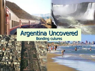 Argentina Uncovered Bonding culures 