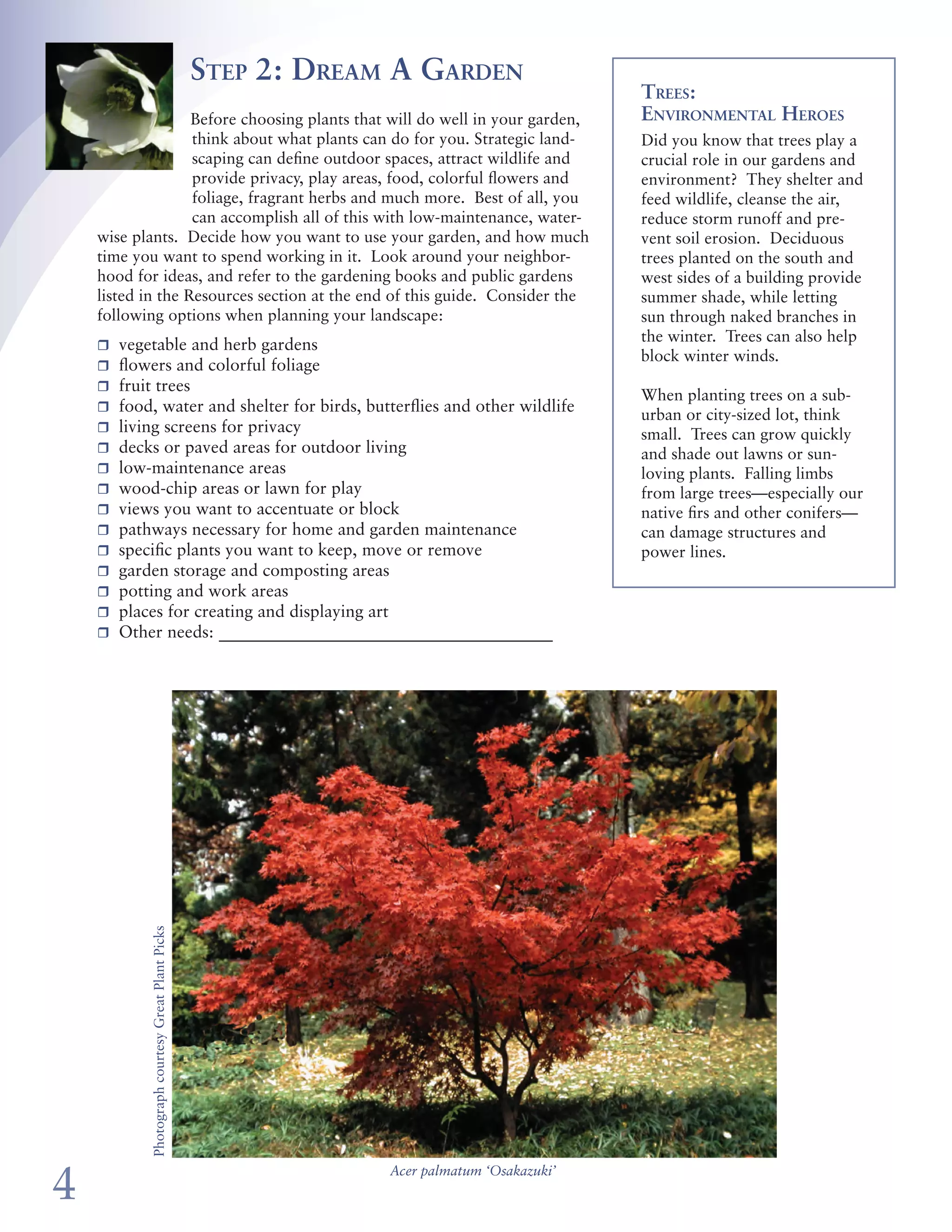 Step 2: Dream A Garden                                                      Step 3: Create A Plan To Fit Your Site
                                                                                              Trees:
                   Before choosing plants that will do well in your garden,                   Environmental Heroes               Once you know your garden conditions and what you want your landscaping to accomplish, you can lay out your
                   think about what plants can do for you. Strategic land-                    Did you know that trees play a     garden. Pair your site map from step 1 with your list of objectives from step 2 to define use areas. Then select
                   scaping can define outdoor spaces, attract wildlife and                    crucial role in our gardens and    plants for each location. For example, put your lawn and vegetable garden in sunny areas with good drainage.
                   provide privacy, play areas, food, colorful flowers and                    environment? They shelter and      The bird and wildlife viewing sanctuary you’ve always wanted can go in the shady area, as can the compost pile.
                   foliage, fragrant herbs and much more. Best of all, you                    feed wildlife, cleanse the air,    Use sheets of tracing paper laid over your site map to experiment with varied layouts, and match plants with the
                   can accomplish all of this with low-maintenance, water-                    reduce storm runoff and pre-       conditions that best suit them.
    wise plants. Decide how you want to use your garden, and how much                         vent soil erosion. Deciduous
    time you want to spend working in it. Look around your neighbor-                          trees planted on the south and     Choose the Right Plants for Each Spot
    hood for ideas, and refer to the gardening books and public gardens                       west sides of a building provide                                                                                 Create A Garden
                                                                                                                                 Refer to the Resources section at the end of this guide for help finding      For All Seasons
    listed in the Resources section at the end of this guide. Consider the                    summer shade, while letting        plants that will meet your needs and flourish in your garden’s condi-
    following options when planning your landscape:                                           sun through naked branches in                                                                                    Landscape for year-round interest!
                                                                                                                                 tions. Consider the following when choosing plants:
                                                                                              the winter. Trees can also help
    r	   vegetable and herb gardens                                                                                                                                                                            r	 Look for winter standouts,
                                                                                              block winter winds.                P	 Choose plants that thrive without irrigation. Many plants grow
    r	   flowers and colorful foliage                                                                                               beautifully with just the water provided by nature—once they are                   including plants that feature var-
    r	   fruit trees                                                                                                                established in your garden. Plant moisture-loving varieties where                  ied leaf color or texture, colorful
                                                                                              When planting trees on a sub-
    r	   food, water and shelter for birds, butterflies and other wildlife                                                          soil stays wet. Drought-tolerant plants perform best where soil is                 winter bark or berries, and fra-
                                                                                              urban or city-sized lot, think
    r	   living screens for privacy                                                                                                 dry in the summer.                                                                 grant or colorful winter flowers.
                                                                                              small. Trees can grow quickly
    r	   decks or paved areas for outdoor living                                              and shade out lawns or sun-                                                                                      r	 Include evergreens. Use both
                                                                                                                                 P	 Select pest-and disease-resistant varieties. Whether you grow roses
    r	   low-maintenance areas                                                                loving plants. Falling limbs                                                                                             coniferous and broadleaf ev-
                                                                                                                                    or rhododendrons, apples or tomatoes, you will find that certain
    r	   wood-chip areas or lawn for play                                                     from large trees—especially our                                                                                          ergreen plants to define spaces
                                                                                                                                    varieties resist common pests and diseases better than others. Ask
    r	   views you want to accentuate or block                                                native firs and other conifers—                                                                                          while keeping your garden green
                                                                                                                                    your local nursery to suggest pest- and disease-resistant varieties, or
    r	   pathways necessary for home and garden maintenance                                   can damage structures and                                                                                                throughout the year.
                                                                                                                                    refer to The Plant List (see back page to order).
    r	   specific plants you want to keep, move or remove                                     power lines.
                                                                                                                                 P	 Diversify your plant investments. Landscapes characterized by a            r	 Provide winter structure.
    r	   garden storage and composting areas
                                                                                                                                    rich array of plants resist the spread of pests and diseases better than           Woody trees and shrubs, as
    r	   potting and work areas
                                                                                                                                    gardens with little variety. Diverse plantings attract birds and insects           well as arbors, trellises and
    r	   places for creating and displaying art                                                                                                                                                                        garden art, provide visual interest
    r	   Other needs: _______________________________________                                                                       that eat pests—and are more attractive to people, too.
                                                                                                                                                                                                                       during the dormant season.
                                                                                                                                 P	Why not go native? Indigenous plants are adapted to the local cli-
                                                                                                                                   mate and pests. Many Northwest natives are beautiful and easy to
                                                                                                                                   grow. However, the needs of natives vary and, for best results, they
                                                                                                                                   must be grown in the right conditions—just like any other plants.




                                                                                                                                                                                                                 Photograph courtesy Great Plant Picks
                                                                                                                                 Plan for Easy Maintenance and Efficient Irrigation
                                                                                                                                 At every stage of laying out your garden, consider how to water wisely
                                                                                                                                 and make upkeep easy.
                                                                                                                                 r	 Plant practical lawns. Include only as much lawn as you need and
                                                                                                                                    want to maintain. Remember that lawns need regular watering
                                                                                                                                    in summer to stay green, and need weekly mowing during several
                                                                                                                                    months of the year. Avoid planting lawn on slopes, narrow strips
                                                                                                                                    or irregular shapes that are hard to mow or irrigate. See the box on
                                                                                                                                    page 3 for more tips.
             Photograph courtesy Great Plant Picks




                                                                                                                                 r	 Create low-maintenance areas. Plant slopes, areas along fences and
                                                                                                                                    other hard-to-access sites with quick-growing ground cover plants                                                    Viburnum tinus ‘Spring Bouquet’
                                                                                                                                    that crowd out weeds and require little watering.
                                                                                                                                 r	 Group plants by their water needs. This way, they can be watered by the same sprinkler or irrigation
                                                                                                                                    zone with each group receiving just the right amount of moisture. Lawns should be irrigated separately
                                                                                                                                    from other plants with different water needs.
                                                                                                                                 r	 Create irrigation zones for each exposure. Plants in full sun usually use more water than those grown
                                                                                                                                    in the shade, and should be watered using different zones if you have an automatic irrigation system.
                                                                                                                                 r	 Drip and soak for savings. Drip irrigation and soaker hoses provide the best way to water most plants


4
                                                                                                                                    other than lawns. They apply water directly to the soil, without wasting it on pavement or allowing
                                                                                                                                                                                                                                                                                           5
                                                                  Acer palmatum ‘Osakazuki’
                                                                                                                                    water to evaporate as it sprays into the air.
 