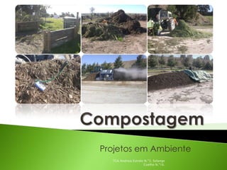 Projetos em Ambiente
  TGA Andreia Estrelo N.º3; Solange
                      Coelho N.º16.
 