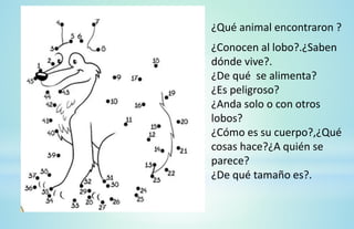 ¿Qué animal encontraron ?
¿Conocen al lobo?.¿Saben
dónde vive?.
¿De qué se alimenta?
¿Es peligroso?
¿Anda solo o con otros
lobos?
¿Cómo es su cuerpo?,¿Qué
cosas hace?¿A quién se
parece?
¿De qué tamaño es?.
 