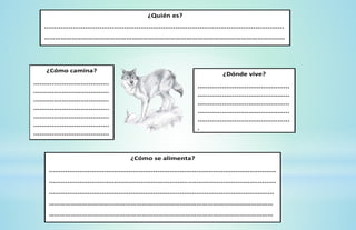 ¿Dónde vive?
.............................................
.............................................
.............................................
.............................................
.............................................
.
¿Cómo camina?
.....................................
.....................................
.....................................
.....................................
.....................................
.....................................
.....................................
..
¿Cómo se alimenta?
...............................................................................................................
...............................................................................................................
..............................................................................................................
……………………………………………………………………………………………………………
……………………………………………………………………………………………………………
….
¿Quién es?
.....................................................................................................................
……………………………………………………………………………………………………………………
…
 