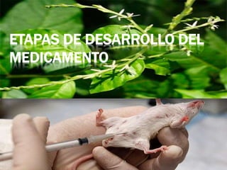 ETAPAS DE DESARROLLO DEL
MEDICAMENTO
 