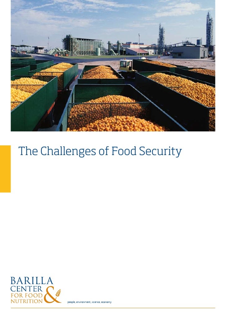 Essay on food security