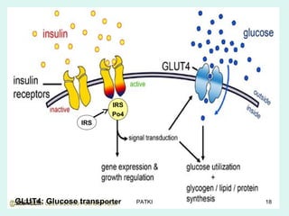GLUT4: Glucose transporter
IRS
IRS
Po4
04/23/19 PATKI 18
 