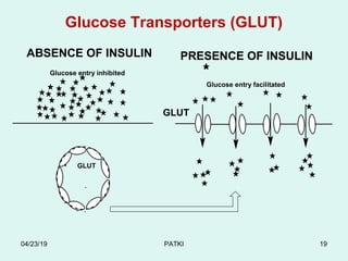 Glucose Transporters (GLUT)
Glucose entry inhibited
Glucose entry facilitated
• GLUT
GLUT
ABSENCE OF INSULIN PRESENCE OF INSULIN
04/23/19 PATKI 19
 