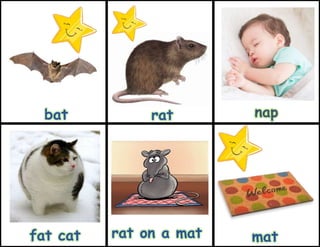 rat on a mat mat
bat rat nap
fat cat
 