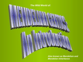 MENDELIAN GENTICS: An Introduction The Wild World of: Also known as Mendelism and Mendelian Inheritance 