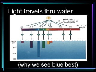Light travels thru water (why we see blue best) 