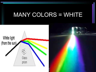 MANY COLORS = WHITE 