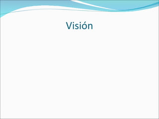 Visión