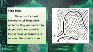 Two Ridges Running Parallel FORENSIC-2- FINGERRINT IDENTIFICATION POWER POINT PRESENTATION | PPTX