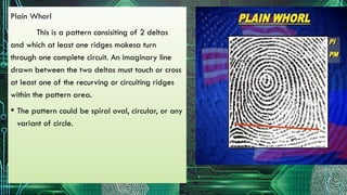 Recorving Ridges FORENSIC-2- FINGERRINT IDENTIFICATION POWER POINT PRESENTATION | PPTX
