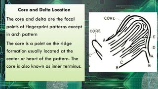 FORENSIC-2- FINGERRINT IDENTIFICATION POWER POINT PRESENTATION | PPTX