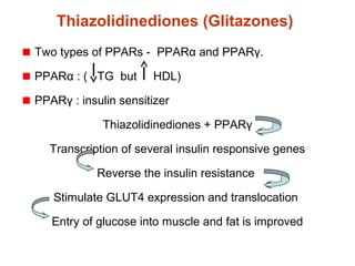 Thiazolidinediones (Glitazones)
Two types of PPARs - PPARα and PPARγ.
PPARα : ( TG but HDL)
PPARγ : insulin sensitizer
Thiazolidinediones + PPARγ
Transcription of several insulin responsive genes
Reverse the insulin resistance
Stimulate GLUT4 expression and translocation
Entry of glucose into muscle and fat is improved
 