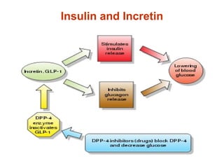 Insulin and Incretin
 
