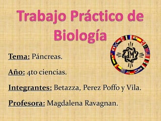 Tema: Páncreas.

Año: 4to ciencias.

Integrantes: Betazza, Perez Poffo y Vila.

Profesora: Magdalena Ravagnan.
 