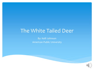 The White Tailed Deer
By: Kelli Johnson
American Public University
 