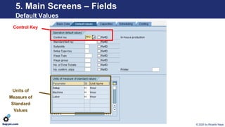 © 2020 by Ricardo NayaSapyst.com
5. Main Screens – Fields
Default Values
Control Key
Units of
Measure of
Standard
Values
 