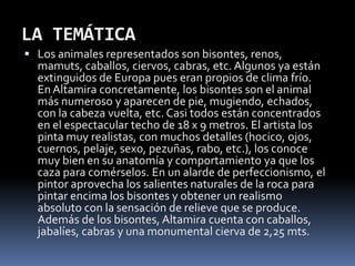 LA TEMÁTICA
 Los animales representados son bisontes, renos,
mamuts, caballos, ciervos, cabras, etc. Algunos ya están
extinguidos de Europa pues eran propios de clima frío.
EnAltamira concretamente, los bisontes son el animal
más numeroso y aparecen de pie, mugiendo, echados,
con la cabeza vuelta, etc. Casi todos están concentrados
en el espectacular techo de 18 x 9 metros. El artista los
pinta muy realistas, con muchos detalles (hocico, ojos,
cuernos, pelaje, sexo, pezuñas, rabo, etc.), los conoce
muy bien en su anatomía y comportamiento ya que los
caza para comérselos. En un alarde de perfeccionismo, el
pintor aprovecha los salientes naturales de la roca para
pintar encima los bisontes y obtener un realismo
absoluto con la sensación de relieve que se produce.
Además de los bisontes, Altamira cuenta con caballos,
jabalíes, cabras y una monumental cierva de 2,25 mts.
 