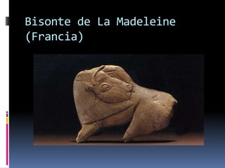 Bisonte de La Madeleine
(Francia)
 