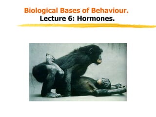 Biological Bases of Behaviour.
Lecture 6: Hormones.
 