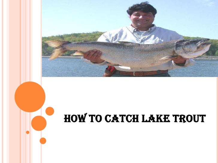 what to use to catch trout in a lake