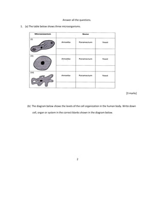 Answer all the questions.
1. (a) The table below shows three microorganisms.
[3 marks]
(b) The diagram below shows the levels of the cell organization in the human body. Write down
cell, organ or system in the correct blanks shown in the diagram below.
2
 