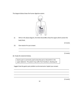 The diagram below shows the human digestive system.
(i) Write in the above diagram, the letters A and B to show the organs which contain the
body fluids.
[2 marks]
(ii) Give reasons for your answer.
________________________________________________________________________
________________________________________________________________________
[2 marks]
(b) Study the statement below.
Suggest how the gastric pain problem can be overcome. Explain your answer.
______________________________________________________________________________
______________________________________________________________________________
______________________________________________________________________________
______________________________________________________________________________
[2 marks]
14
Gastric pain is commonly used to describe pain or discomfort in the
upper abdomen. The patient may suffer from heartburn, bloating and
nausea.
 