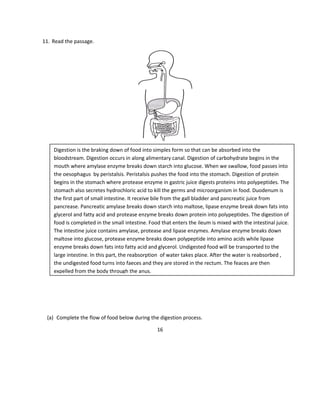 11. Read the passage.
(a) Complete the flow of food below during the digestion process.
16
Digestion is the braking down of food into simples form so that can be absorbed into the
bloodstream. Digestion occurs in along alimentary canal. Digestion of carbohydrate begins in the
mouth where amylase enzyme breaks down starch into glucose. When we swallow, food passes into
the oesophagus by peristalsis. Peristalsis pushes the food into the stomach. Digestion of protein
begins in the stomach where protease enzyme in gastric juice digests proteins into polypeptides. The
stomach also secretes hydrochloric acid to kill the germs and microorganism in food. Duodenum is
the first part of small intestine. It receive bile from the gall bladder and pancreatic juice from
pancrease. Pancreatic amylase breaks down starch into maltose, lipase enzyme break down fats into
glycerol and fatty acid and protease enzyme breaks down protein into polypeptides. The digestion of
food is completed in the small intestine. Food that enters the ileum is mixed with the intestinal juice.
The intestine juice contains amylase, protease and lipase enzymes. Amylase enzyme breaks down
maltose into glucose, protease enzyme breaks down polypeptide into amino acids while lipase
enzyme breaks down fats into fatty acid and glycerol. Undigested food will be transported to the
large intestine. In this part, the reabsorption of water takes place. After the water is reabsorbed ,
the undigested food turns into faeces and they are stored in the rectum. The feaces are then
expelled from the body through the anus.
 