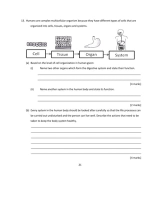13. Humans are complex multicellular organism because they have different types of cells that are
organized into cells, tissues, organs and systems.
(a) Based on the level of cell organization in human given:
(i) Name two other organs which form the digestive system and state their function.
________________________________________________________________________
________________________________________________________________________
[4 marks]
(ii) Name another system in the human body and state its function.
________________________________________________________________________
________________________________________________________________________
[2 marks]
(b) Every system in the human body should be looked after carefully so that the life processes can
be carried out undisturbed and the person can live well. Describe the actions that need to be
taken to keep the body system healthy.
_____________________________________________________________________________
_____________________________________________________________________________
_____________________________________________________________________________
_____________________________________________________________________________
_____________________________________________________________________________
_____________________________________________________________________________
[4 marks]
21
 