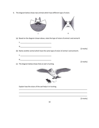 6. The diagram below shows two animals which have different type of vision.
(a) Based on the diagram shown above, state the type of vision of animal J and animal K
J: ___________________________________
K:___________________________________
[2 marks]
(b) Name another animal which have the same type of vision of animal J and animal K.
J: ___________________________________
K:___________________________________
[2 marks]
(c) The diagram below shows that an owl is hunting.
Explain how the vision of the owl helps it in hunting.
_____________________________________________________________________________
_____________________________________________________________________________
_____________________________________________________________________________
[2 marks]
10
 