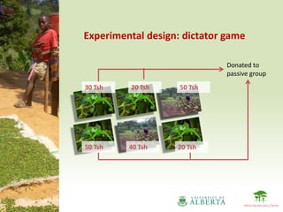 Experimental design: dictator game

                              Donated to
                              passive group
30 Tsh   20 Tsh     50 Tsh




50 Tsh   40 Tsh    20 Tsh
 