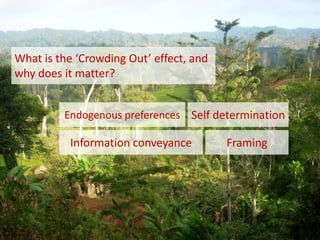 What is the ‘Crowding Out’ effect, and
why does it matter?


         Endogenous preferences Self determination

          Information conveyance         Framing
 